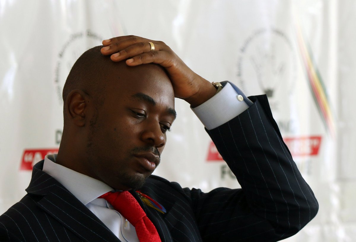 The always loosing opposition politician <a href="/nelsonchamisa/">nelson chamisa</a> has announced his return to  active politics 

l Hazel, lm not a prophetess but l can predict that Chamisa is doomed to fail, here is why, 

1) Chamisa has a structureless party and he is in fact a demi god to his supporters