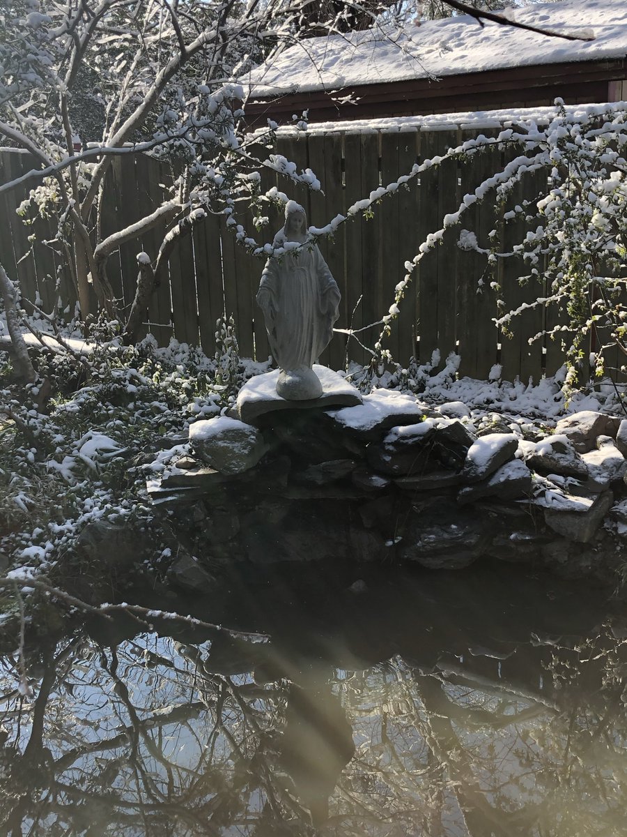 grandma zoomie tweet media