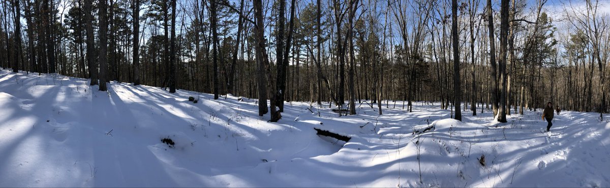 grandma zoomie tweet media