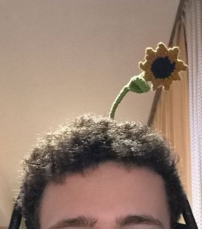 Ленивый понедельник tweet media