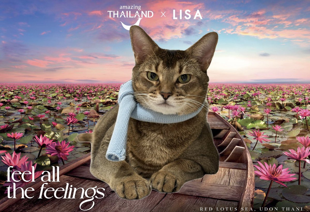 Chocokim96's tweet image. ขอลีออนไปด้วยนะคับพี่ลิซ่า อาหารไทยอร่อยคับ กินแซ่บๆๆ