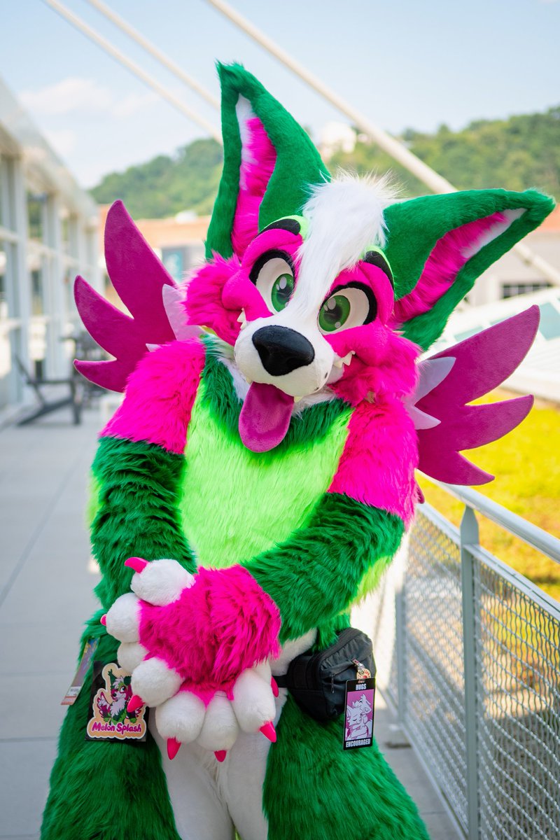 Melon Splash~🍉 tweet media