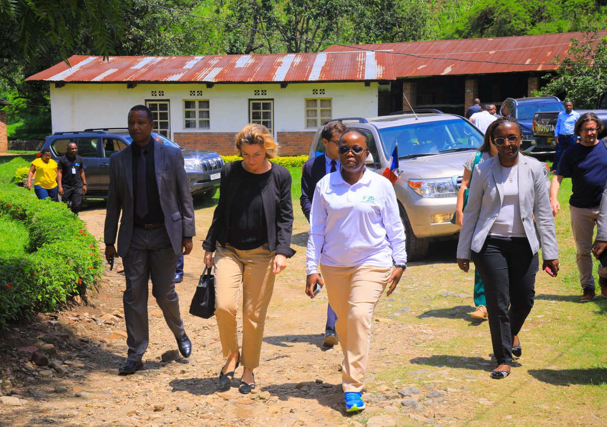 RP-Karongi College tweet media