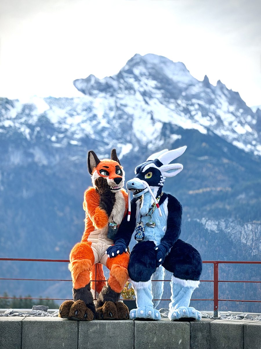 Silly noodle dragon tweet media