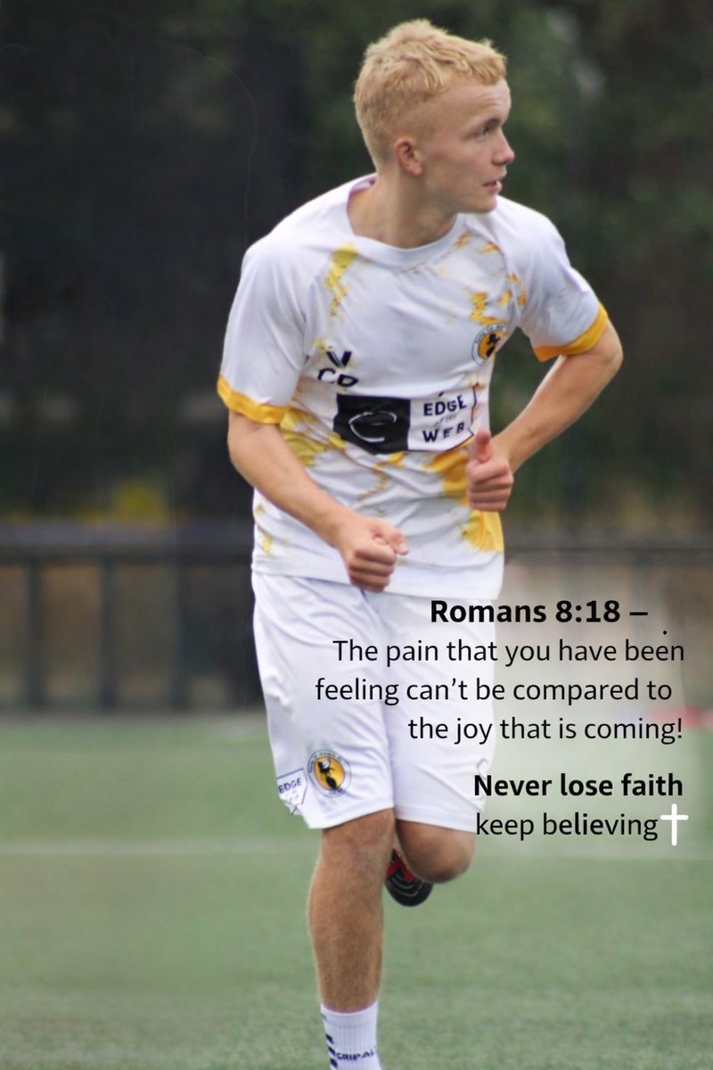 Connor Daysh tweet media