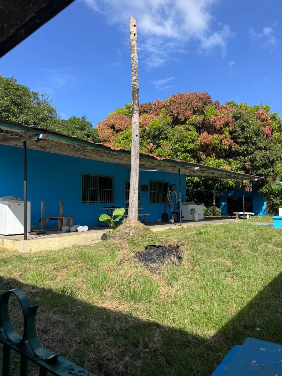 Los Centros de Custodia y Cumplimiento de menores de edad no escapan de la misma realidad de las cárceles de los adultos. 
Hemos tratado de encontrar soluciones temporales, pero la realidad, viendo lo que tenemos; estructuras obsoletas, deterioradas y que no permiten una