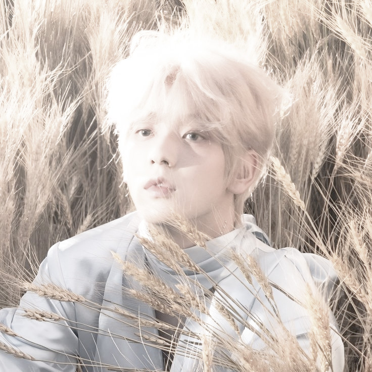 Ohsofthoney's tweet image. ㅤㅤㅤ𝜗𝜚 ㅤㅤㅤ