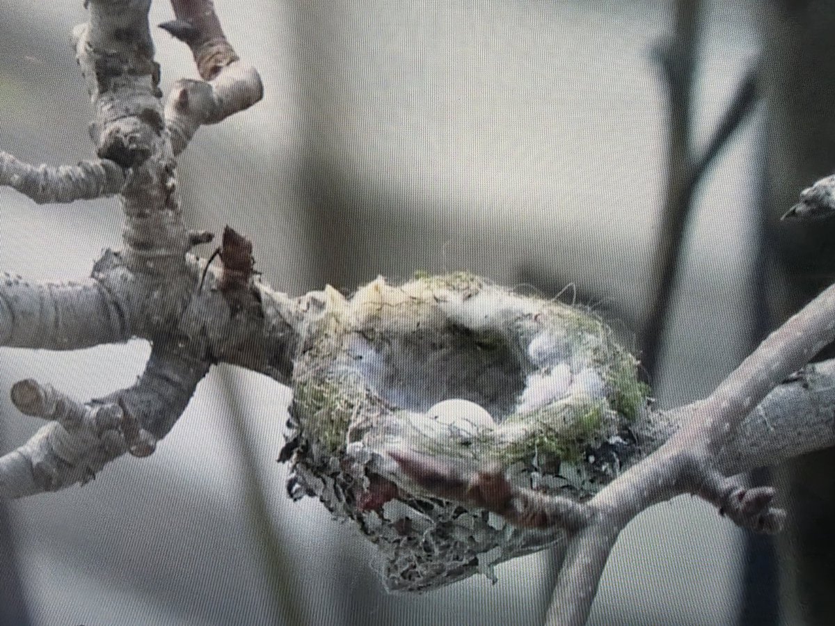 Jorge Parra 📷📹 tweet media