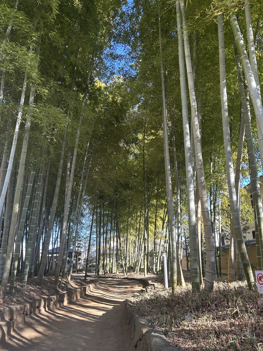 ＃空を見上げて生きていく
＃たまには変わったものも撮ってみよう