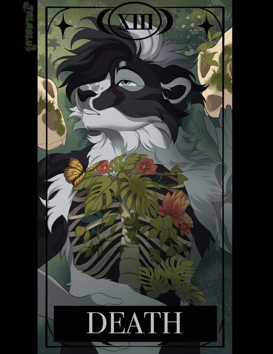 ˗ˏˋ »𝗧𝗔𝗟𝗔 𖦹 ˎˊ˗ tweet media