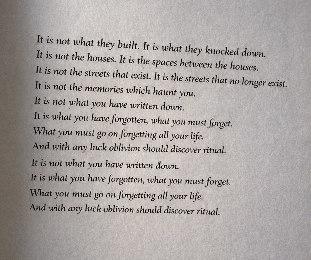 Sysipholus tweet media