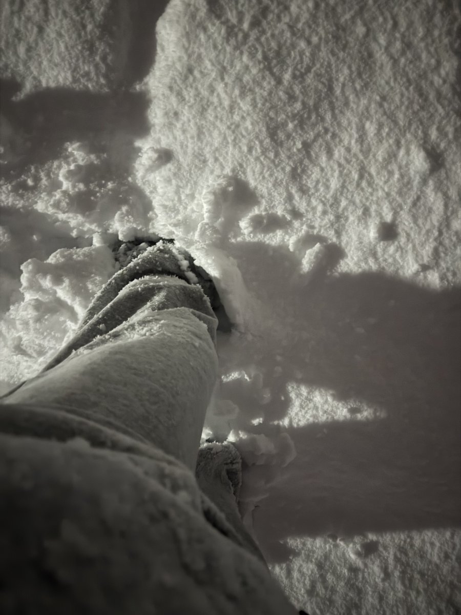 Danda3's tweet image. 死