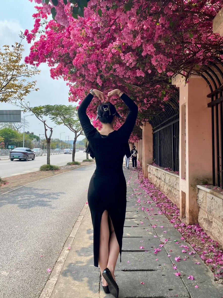 029-Master tweet media