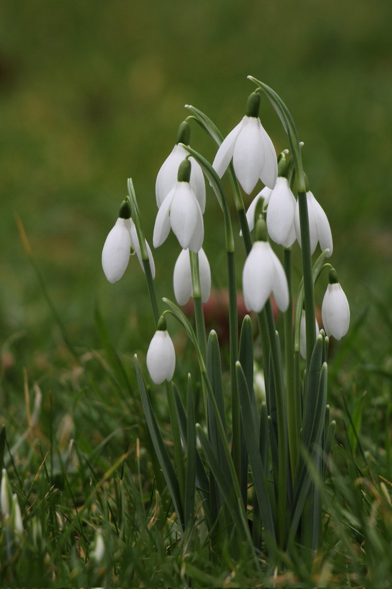 Happy Friday everyone ☺️🌿🌞