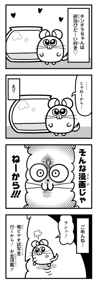 やっぱりチンチランド (@chinchilla_land) on X