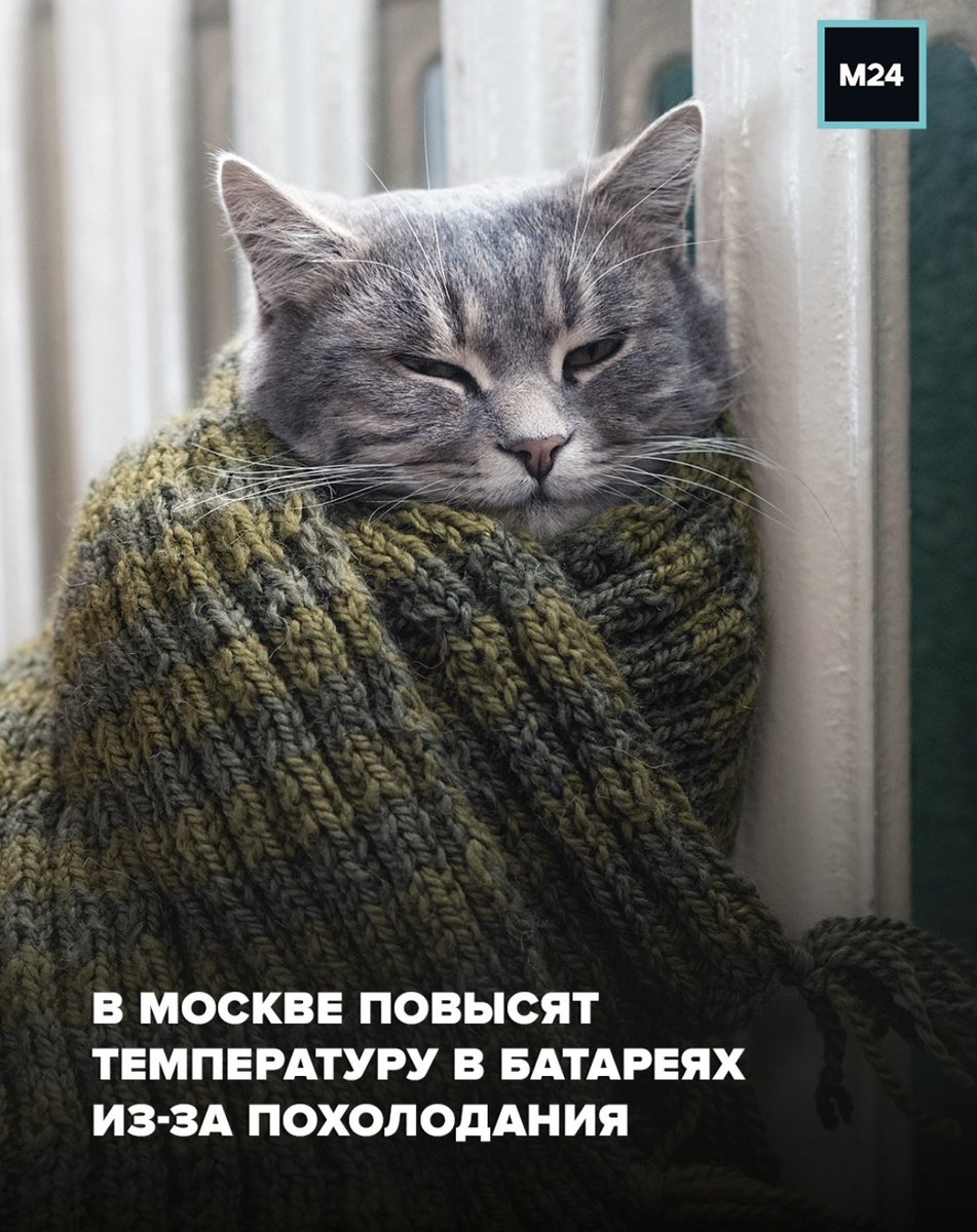 PlatonRedkin's tweet image. Ходили в трусах, теперь будем голыми потеть