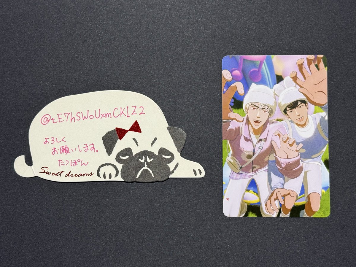 🐢たつぽん🐢 tweet media