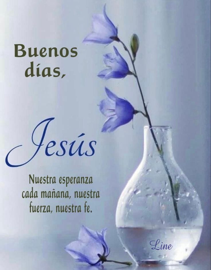 Errolyn (@errolyncr) on Twitter photo 