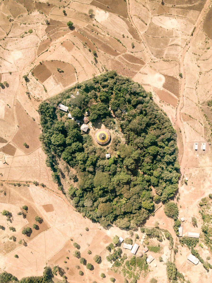 Kieran Dodds tweet media