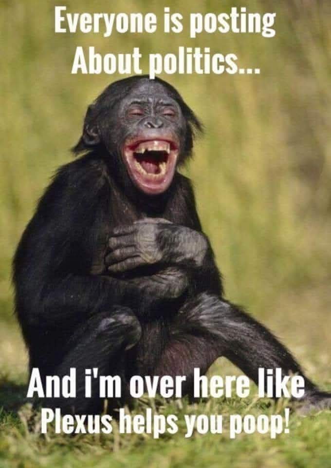 NataschaShaver's tweet image. The only way to FEEL and LOOK your best is to regularly eliminate toxins. Studies show the average American is walking around w/ 8-20lbs of 💩 💩 💩 inside then. 🤢 Plexus can help. 

 #PlexusTriplex #GutHealth  #microbiome  #RootIssues #probiotics 
shopmyplexus.com/nataschamshaver