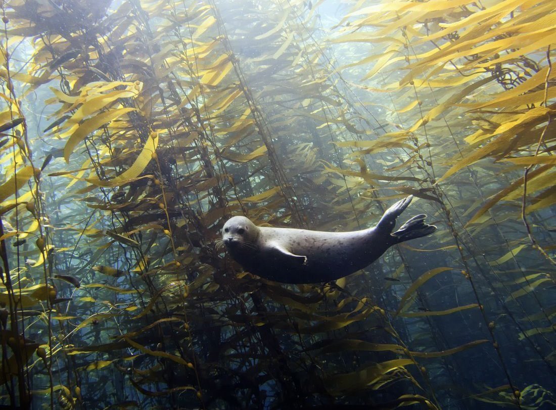 ReddCinema's tweet image. This image is so beautiful, I need everyone to see it