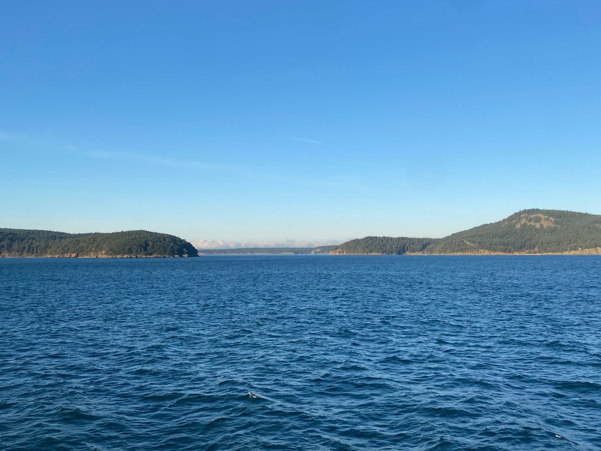 Jacob Close tweet media