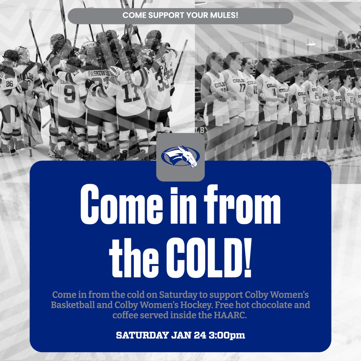 Colby Women's Basketball tweet media