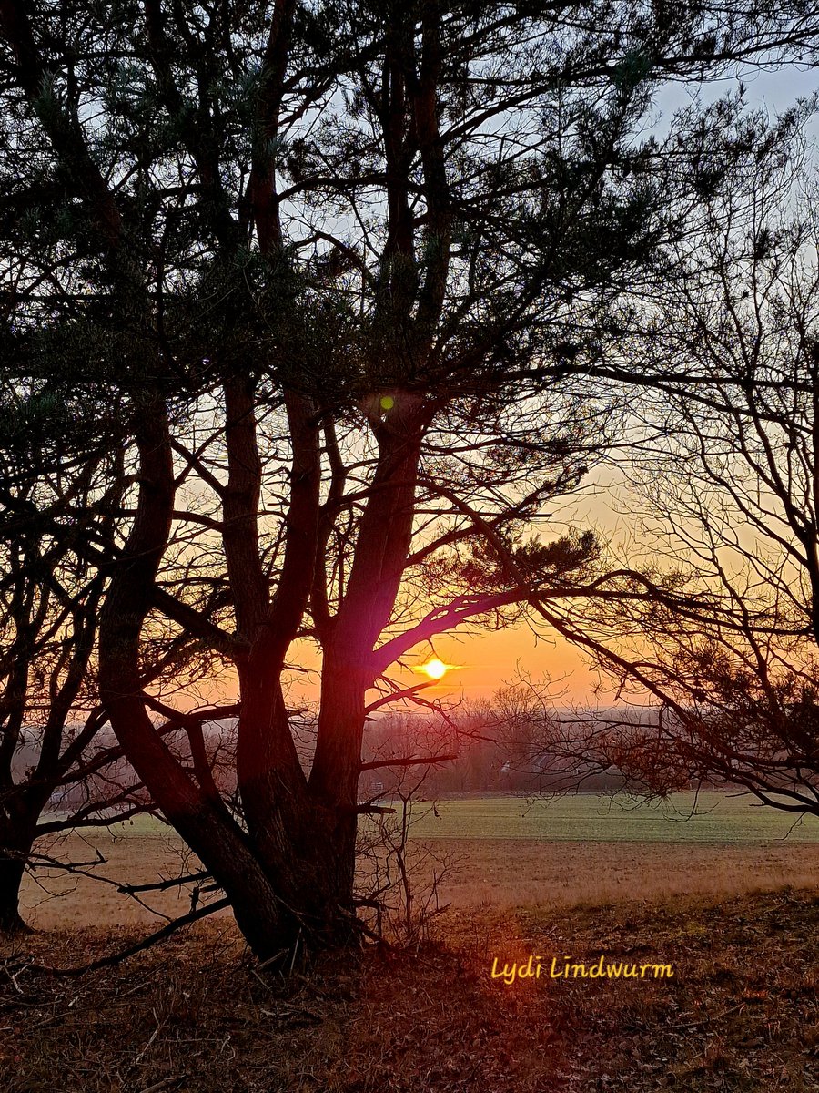 Good evening everyone.