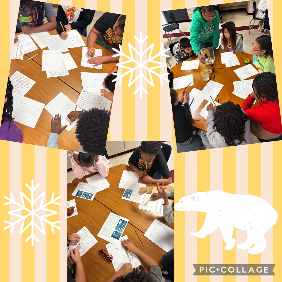 Shannan Burke tweet media