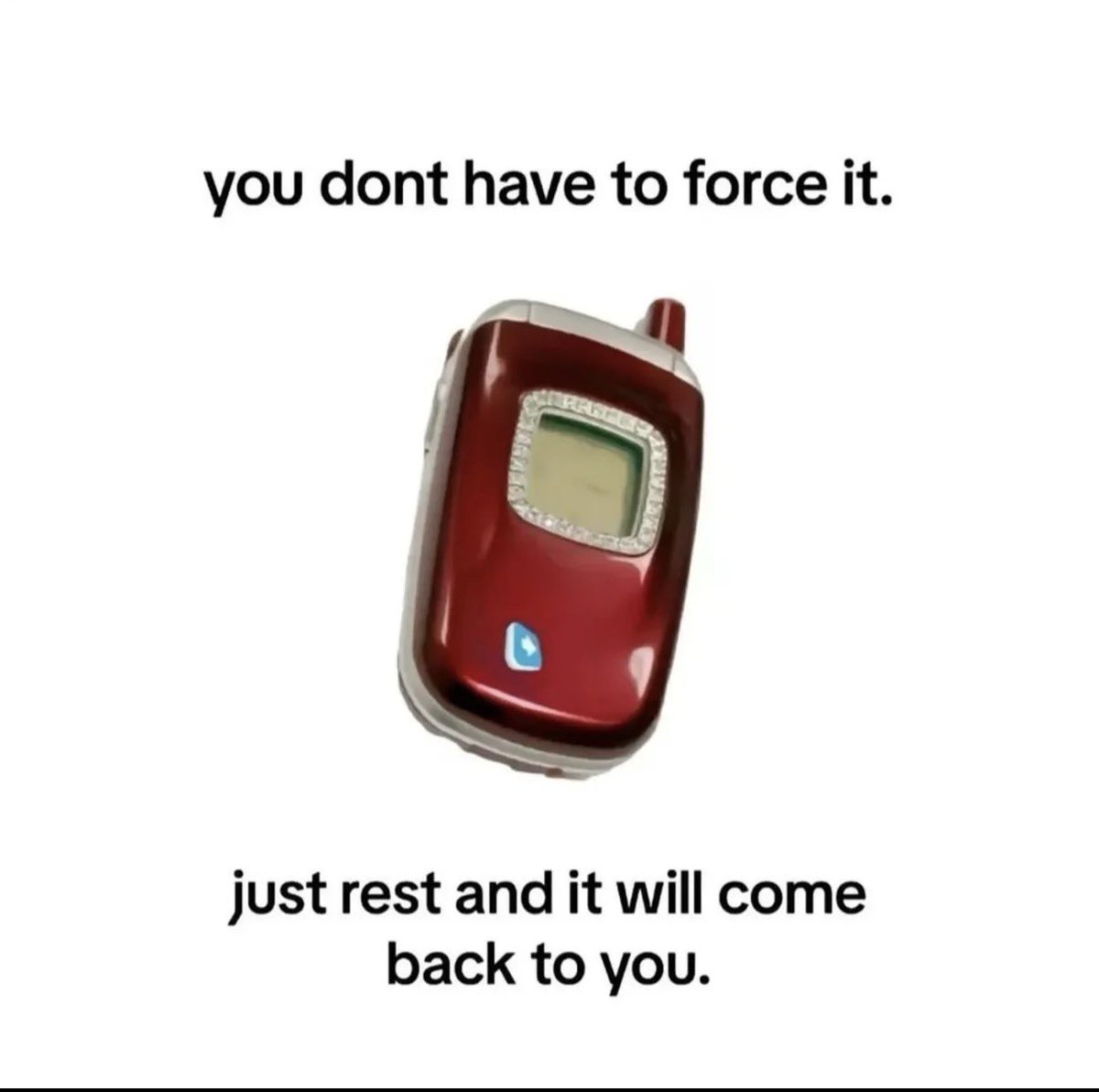 oak-feather (@soulohuman) on Twitter photo 