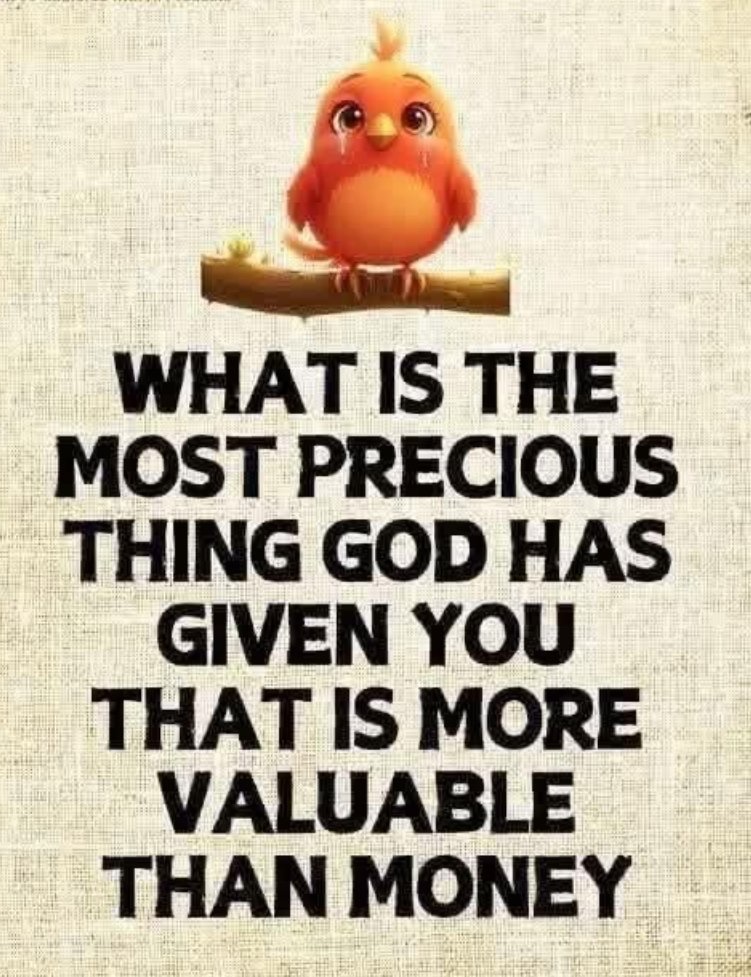 Matt_Pinner's tweet photo. What is that precious thing...?? 🤔 https://t.co/4oldLhkicO