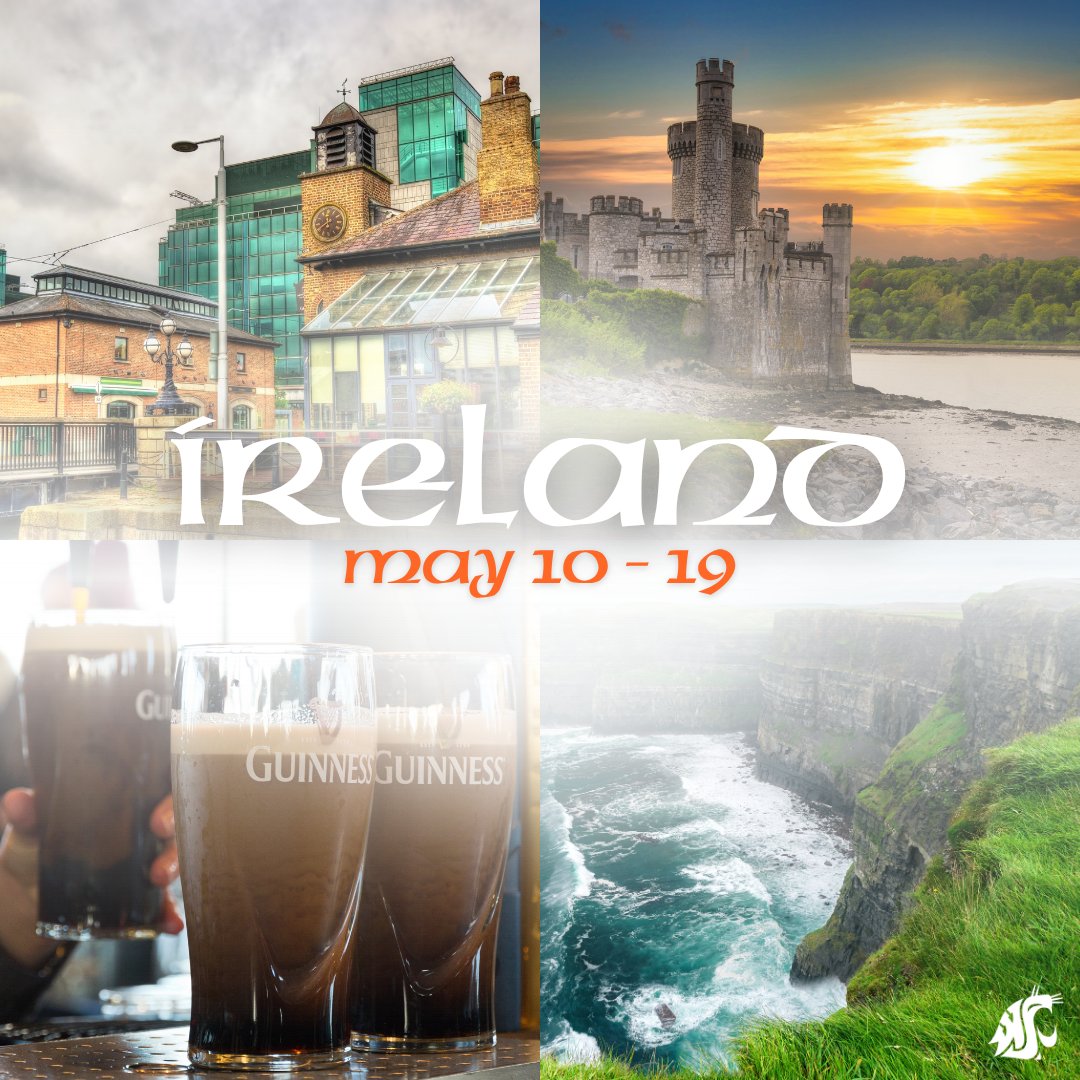 WSU Carson College of Business tweet media