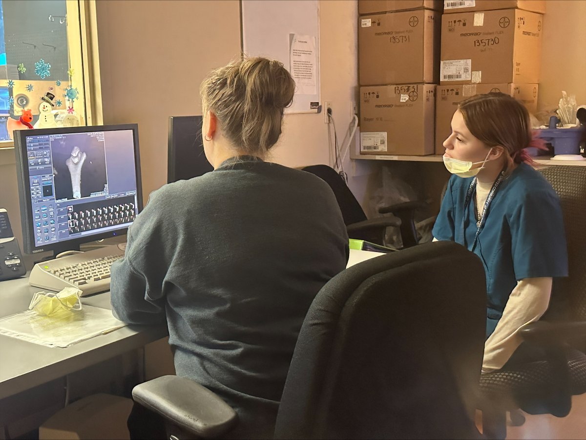 masonhealthfou1's tweet photo. On the job #training! Mason Health supports Shelton High School students through #jobshadows - jr Korie Cobb was in the CT Tech room last week in Diagnostic Imaging while senior Cohen Holzgrove shadowed in PT in the Reha Services department. #jobshadow https://t.co/PeK2BUq3pX https://t.co/O3OfDjwVNQ