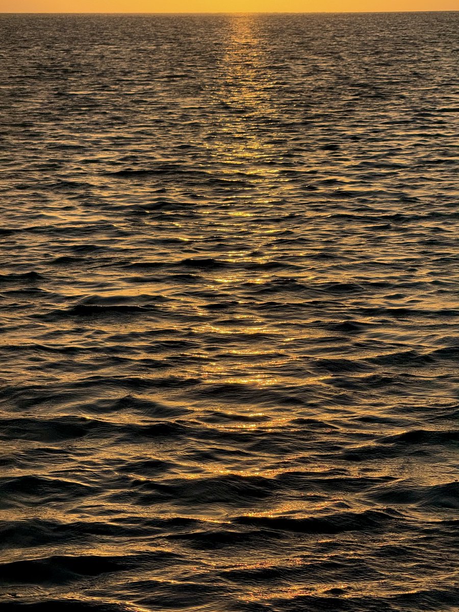 apricity tweet media