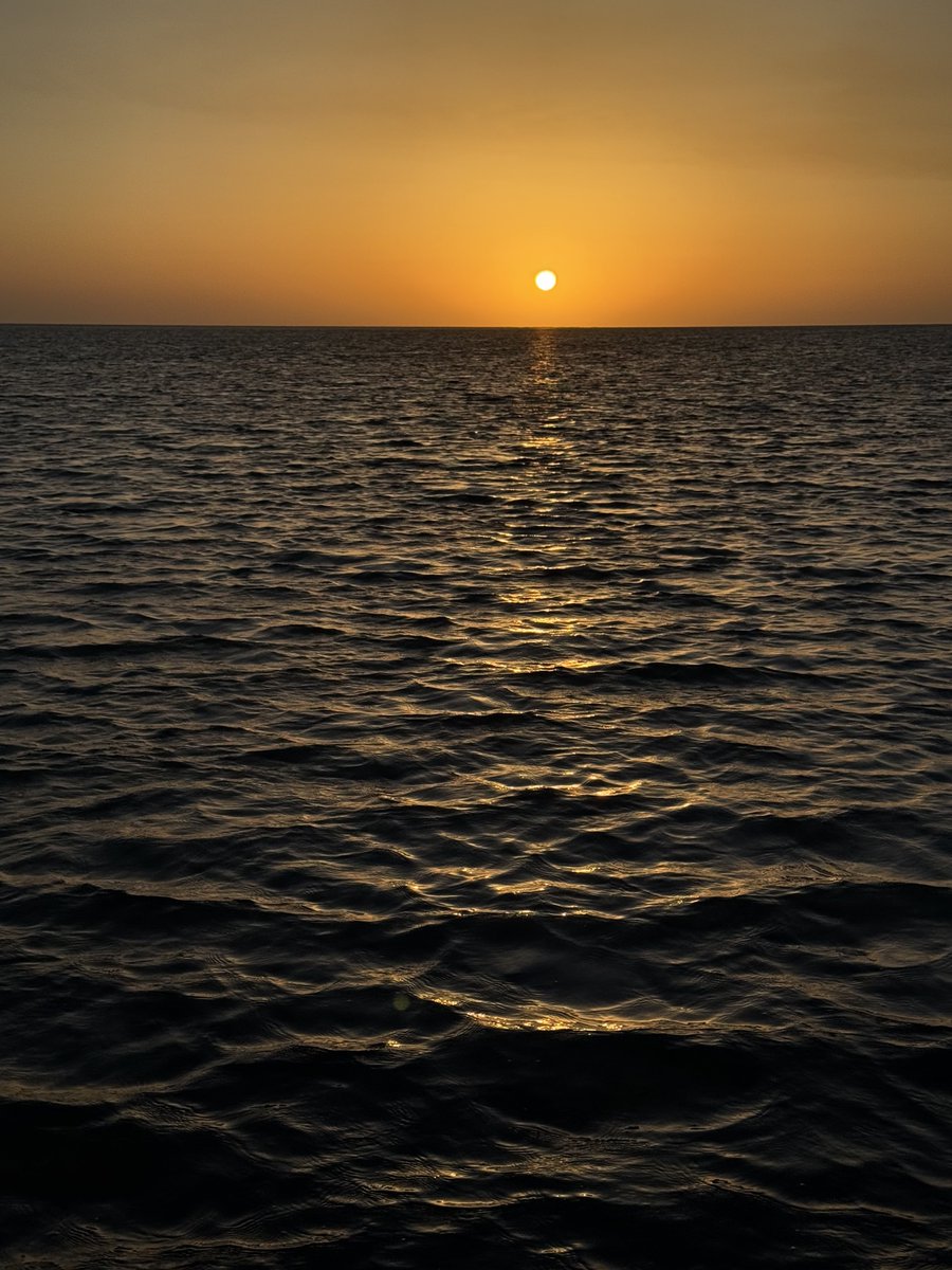 apricity tweet media