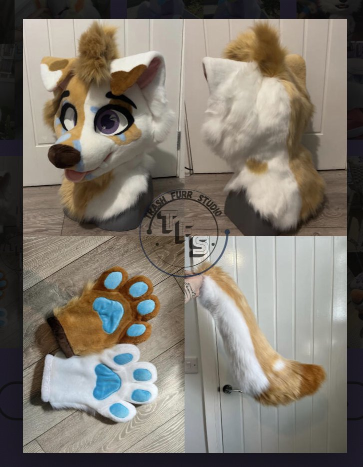 GooseberryFool's tweet image. Hello gang, please report @/Trashyyfurr_ as they are scamming people by posting other people's fursuits and pretending it's their own work. Several makers are being impersonated, but here's 2 suits I personally know, Goob and Amello, both by @PB_Fursuits  (my maker!)