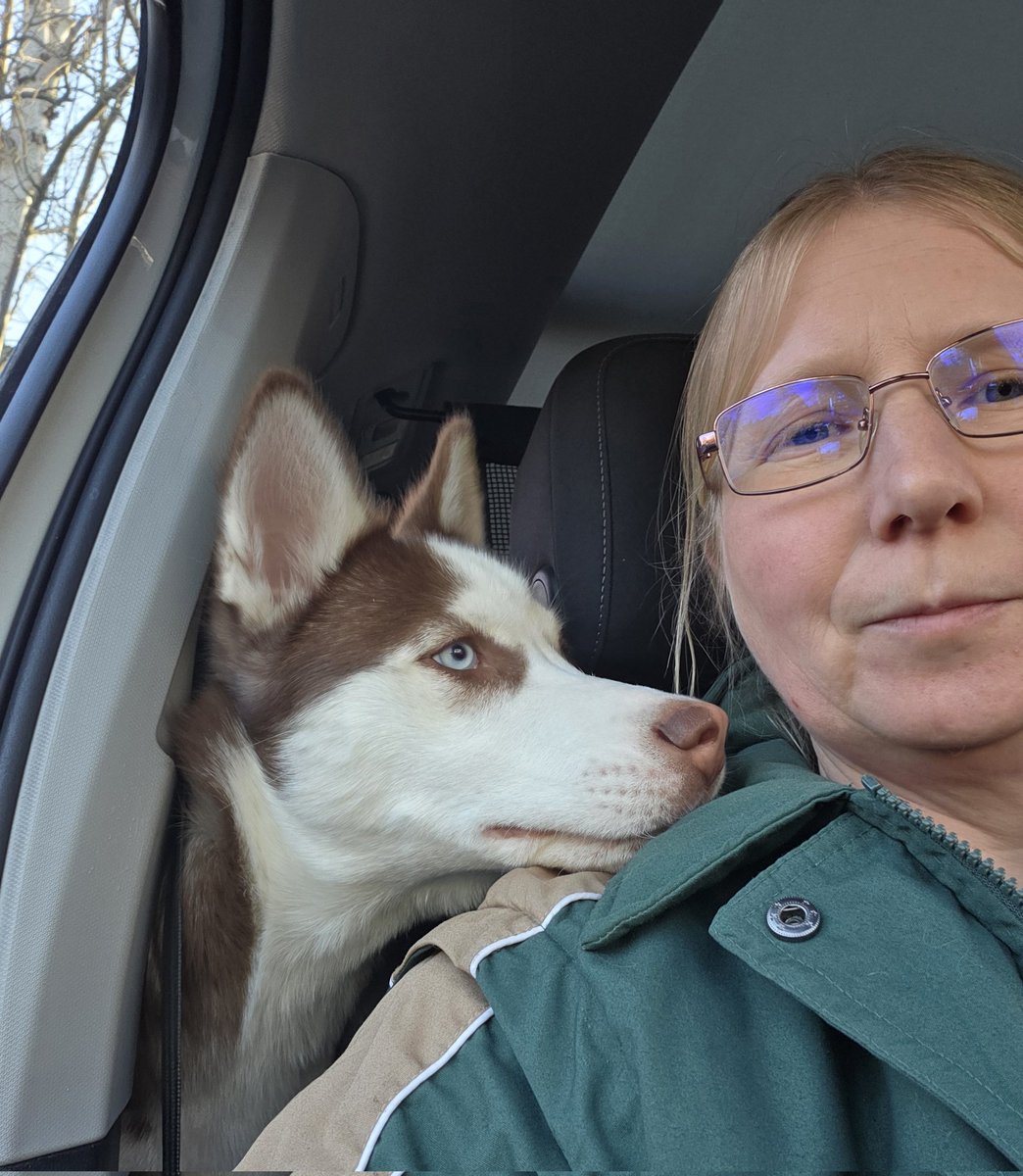 EnergyBorder's tweet image. Enja: Fährst du jetzt endlich los?  Nach Fressnapf!