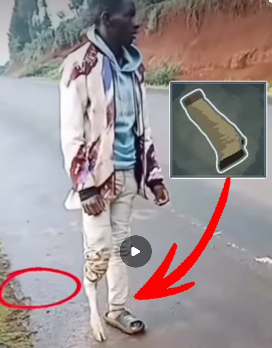 Chief ⚔️ ‼️ (Dinosaurs Are Real) tweet media