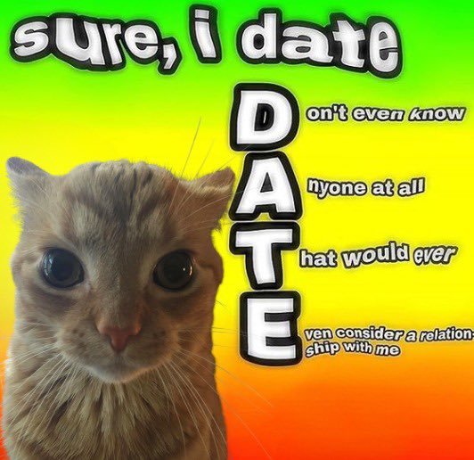 gakstercat's tweet image. 