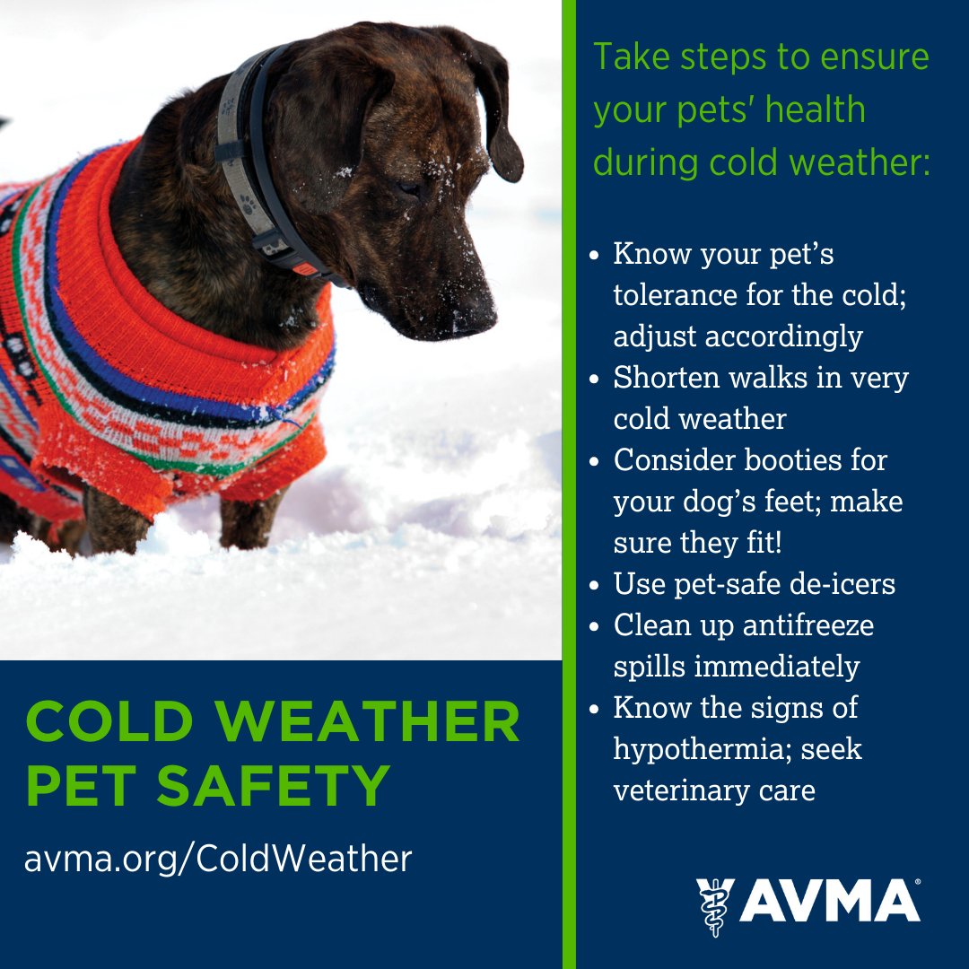 AVMA (American Veterinary Medical Association) tweet media