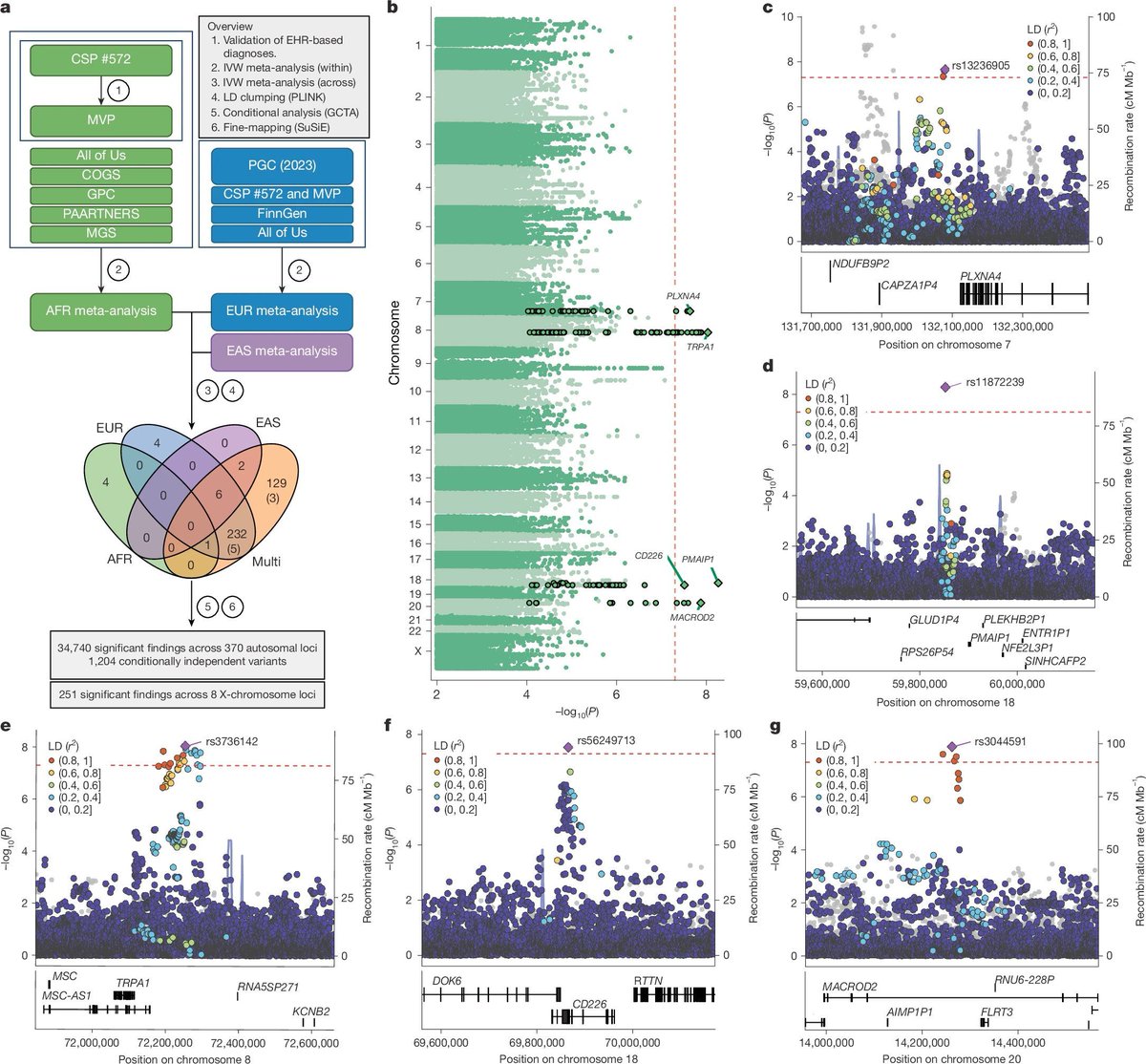 Biological insights into schizophrenia from ancestrally diverse populations nature.com/articles/s4158… (read free: rdcu.be/e0iv4)