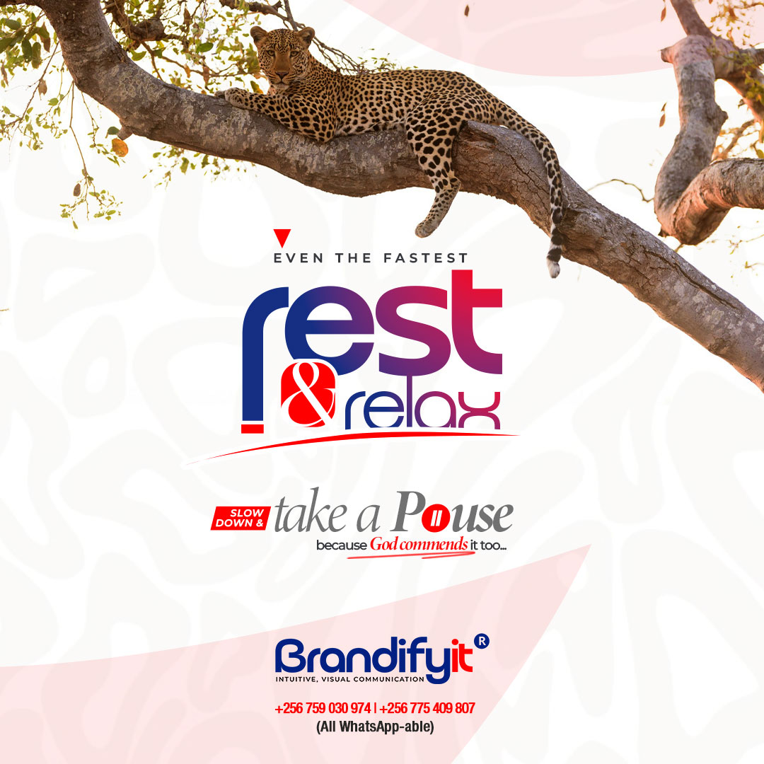 Brandifyit tweet media