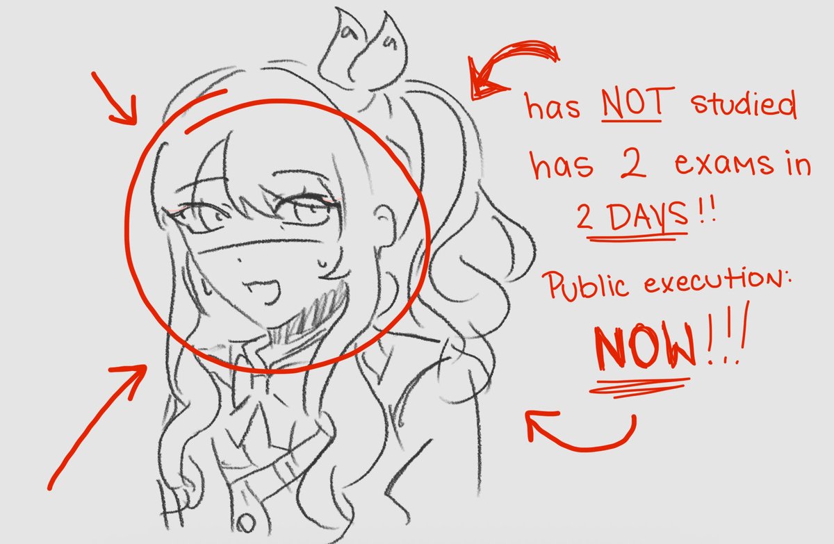 thecutemizuki's tweet image. the cat does not concern itself with exams