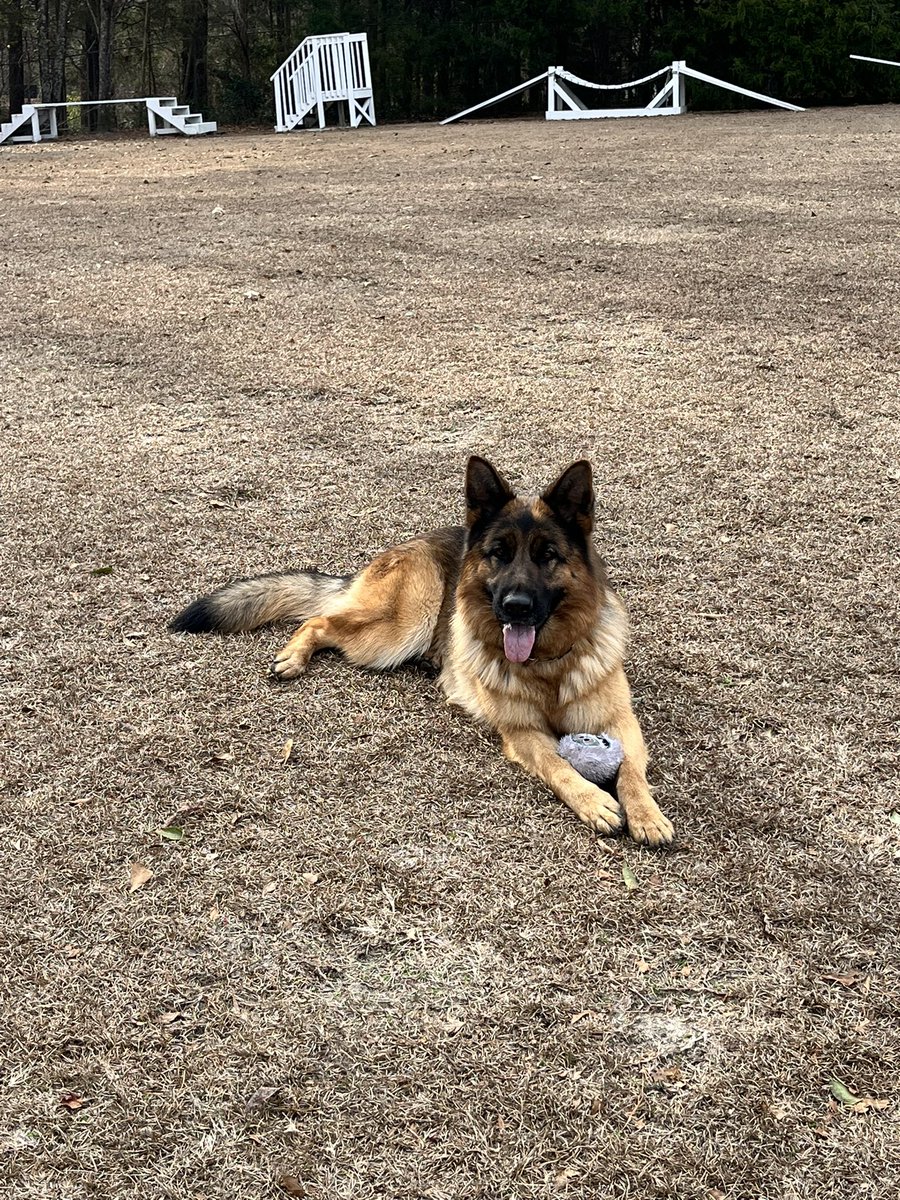 Just try to take my toy.  I dare you.