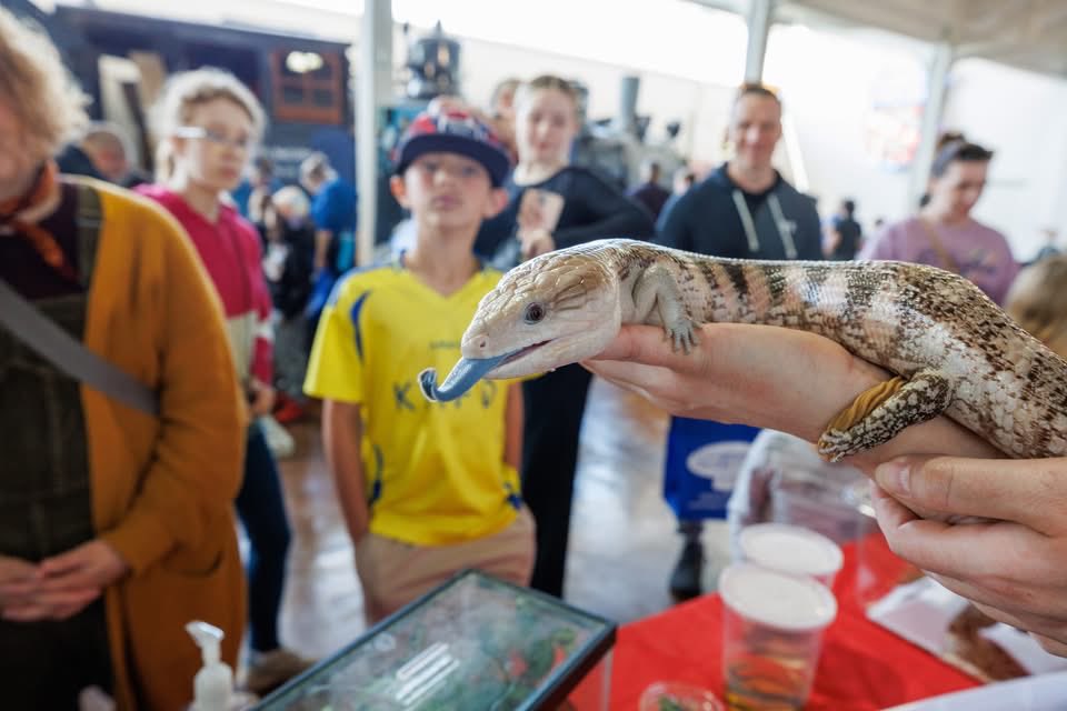 NESciFest tweet media