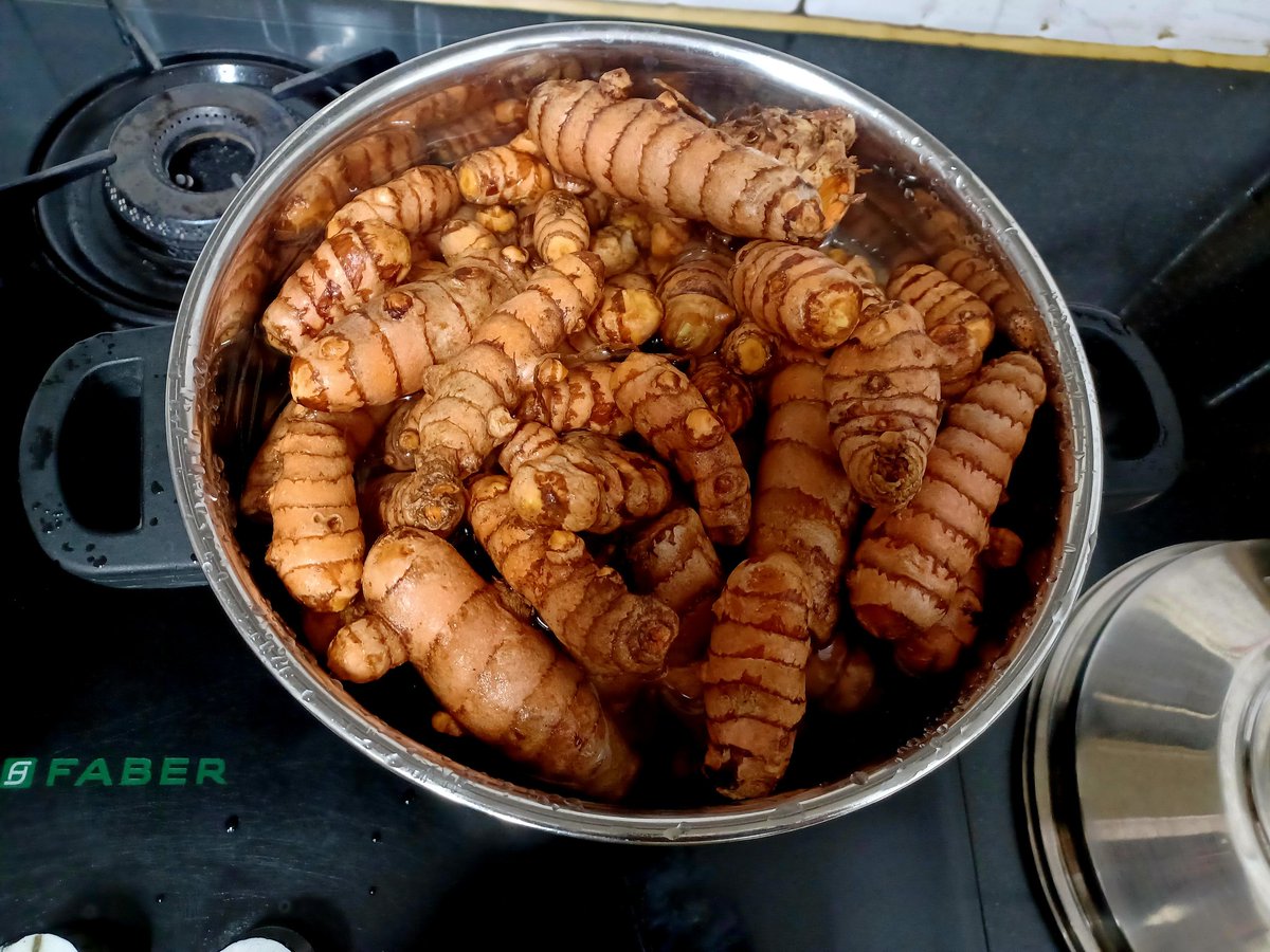 Saigeet36566874's tweet image. Turmeric powder making in progress. My home is filled with aroma. Harvested around 5 kgs this Pongal. Physically straining but hugely satisfying to make 100% organic curcumin intact turmeric powder at home. #HomeGarden