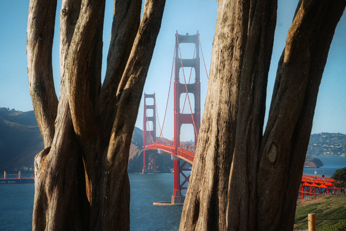 michaelboegl's tweet image. california love