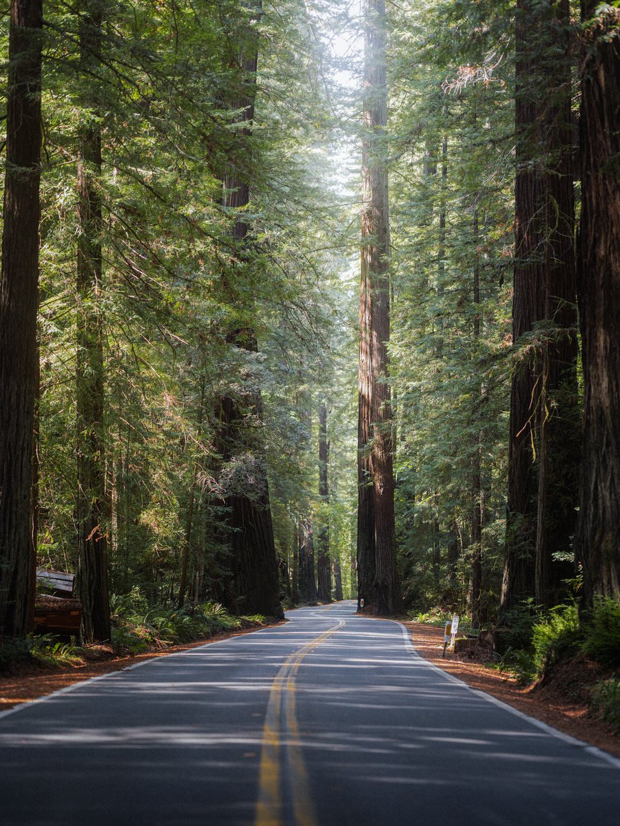 michaelboegl's tweet image. california love