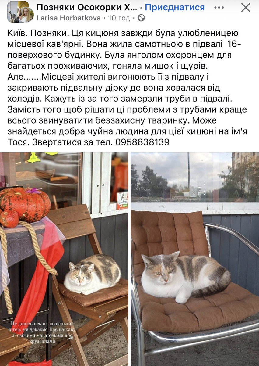 Без коментарів……. Просто візьміть її в дім