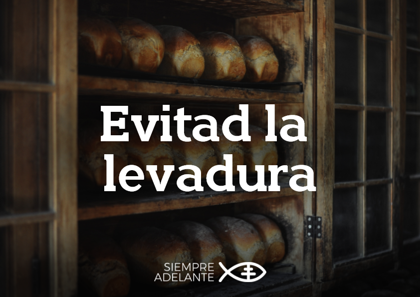 Archisevilla1's tweet photo. #EvangelioDelDía| Mc 8, 14-21. “Evitad la levadura de los fariseos y de Herodes”. https://t.co/L55IV3XY4B

#PalabraViva #SiempreAdelante https://t.co/LF3PSr91yD